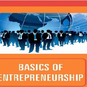 Entrepreneurship Beginner